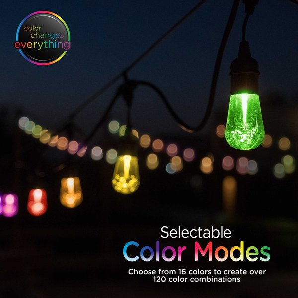 Seasons Cafe Lights, 24 ft., 12 Bulbs