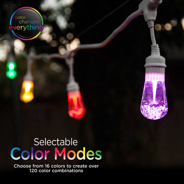 Seasons Cafe Lights, 24 ft., 12 Bulbs