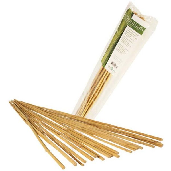 Bamboo Stakes, 6 Ft., Natural, PK25