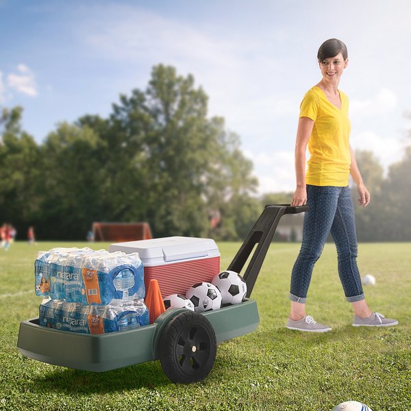 Easy Haul Flat Bed Cart