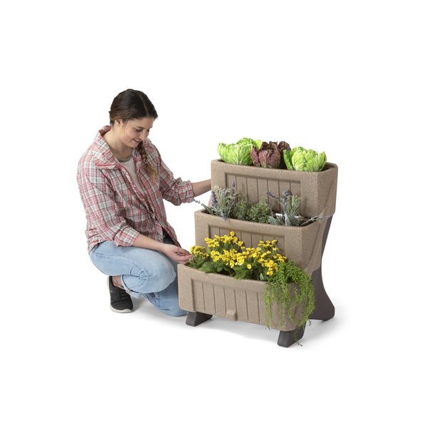 Three-Level Herb and Flower Garden Plant