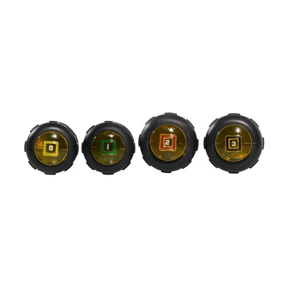 Screwdriver Set, Square Recess, 4-Piece