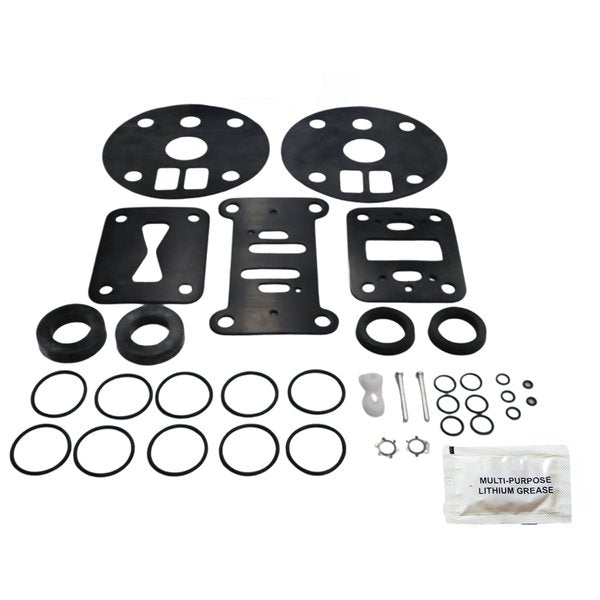 Repair Kit, Air, 1-1/2 In Metallic Pump