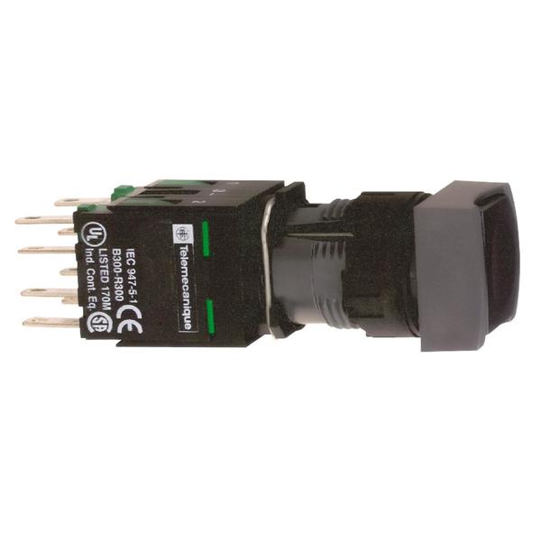 Pushbutton 240Vac 15Amp Xb6 +Options