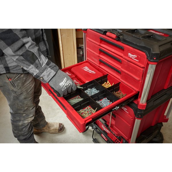 PACKOUT 4-Drawer Tool Box