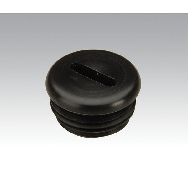 Throttle Valve Plug, 56076