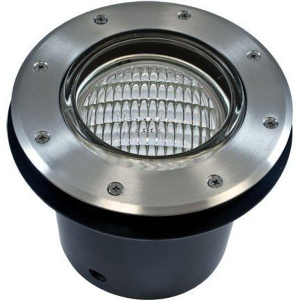 Well Light, 306, SS, S, Aluminum, LED