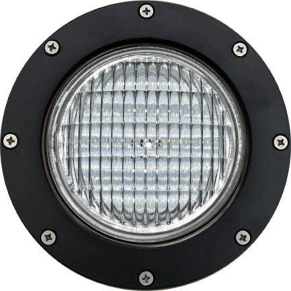 Well Light, 306, SS, S, Aluminum, LED