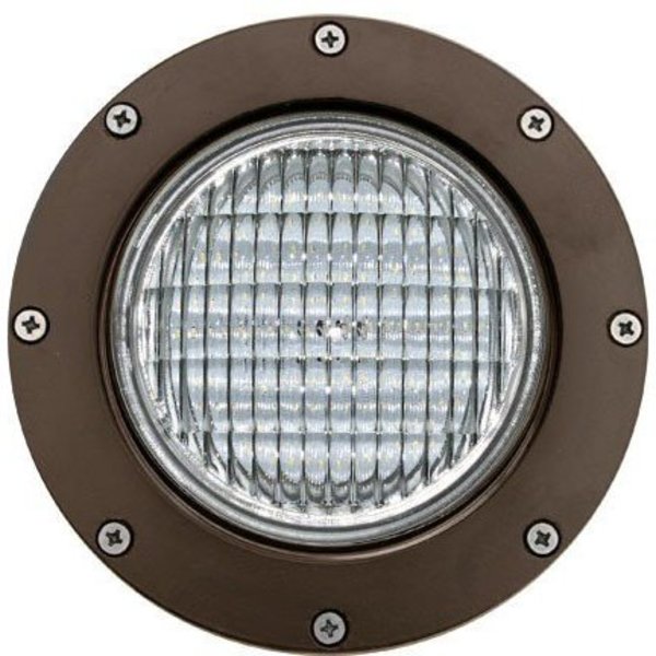 Well Light, 306, SS, S, Aluminum, LED