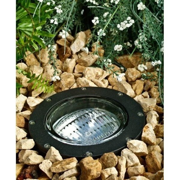 Well Light, 306, SS, S, Aluminum, LED