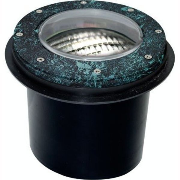 Well Light, 306, SS, S, Aluminum, LED