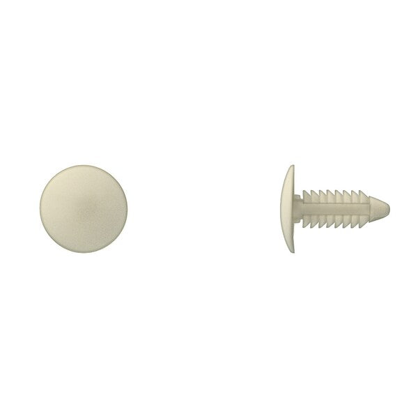 Creamy Wht Nyln Shield Ret 1/4