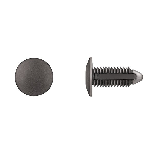 Push-In Rivet, Dome Head, 10 mm Dia., 30 mm L, Nylon Body, 50 PK
