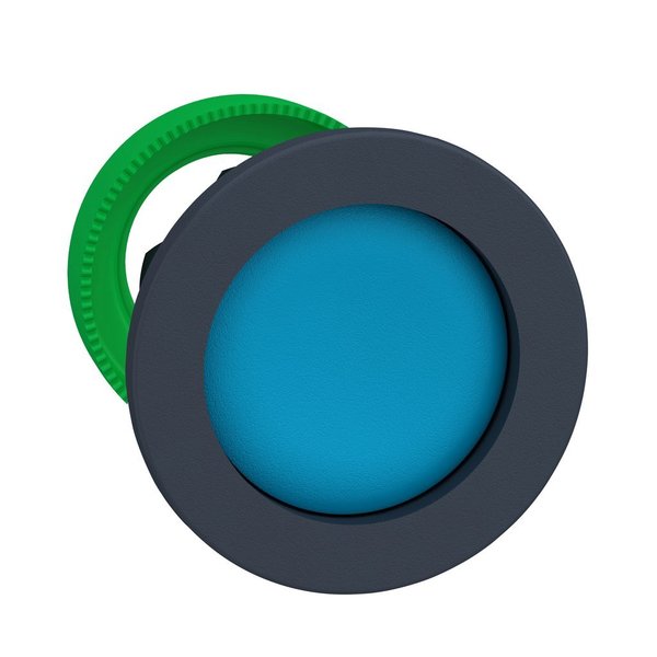 Flush mounted blue pushbutton head reces