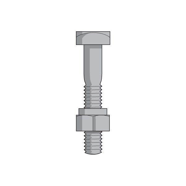 Bolt/Nut, 1/4