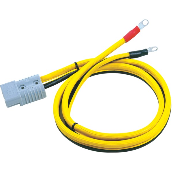 Lug-To-Plug Cable, 2 Gauge, 5ft.