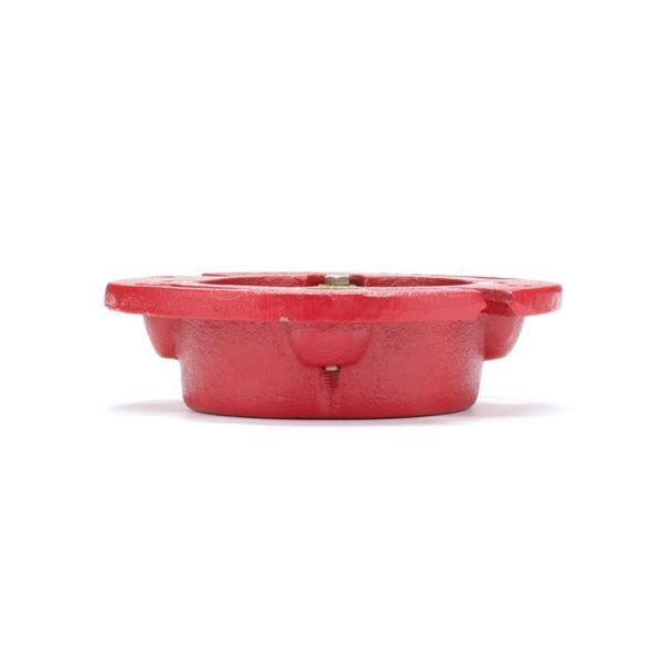 Cast Iron Flange, 165Ci3-3