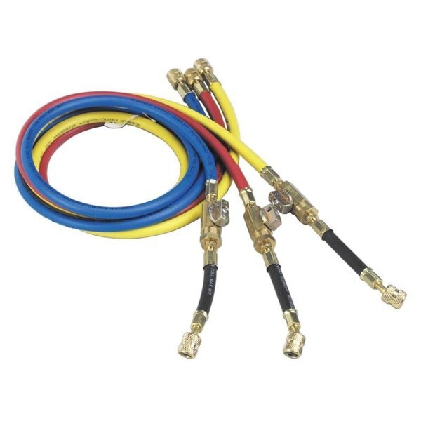 Hoses, Ball Valves, 60