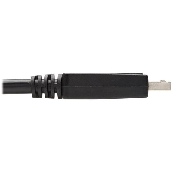 DisplayPort Cable, DVI, Adapter, M/M, 6ft