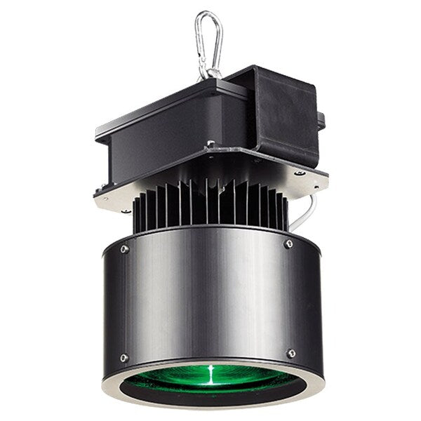 Projector, Indoor/Outdoor, Laser Green, 3