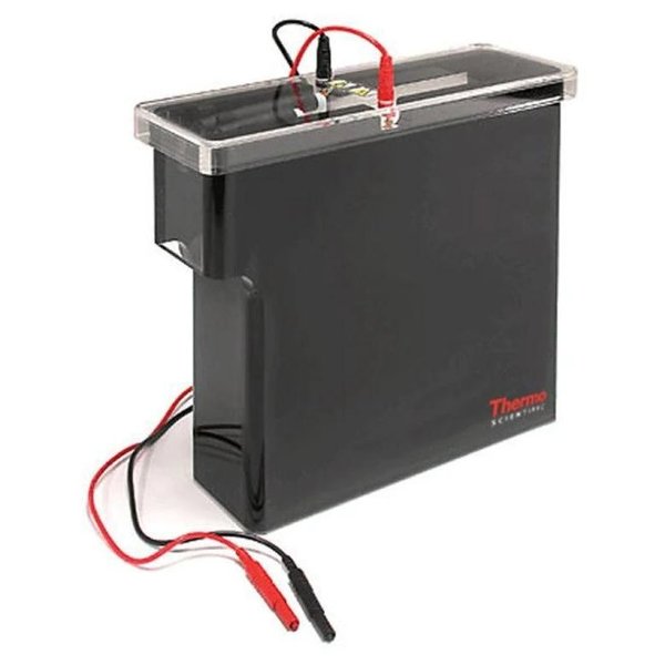 Owl Large Tank Electroblotting System