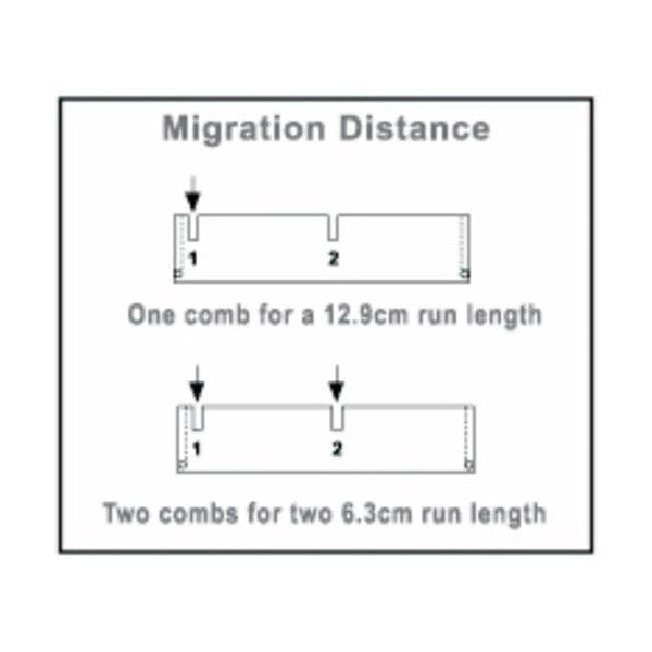 Owl 24 Tooth Comb, 1.0/1.5 mm Thick Dou