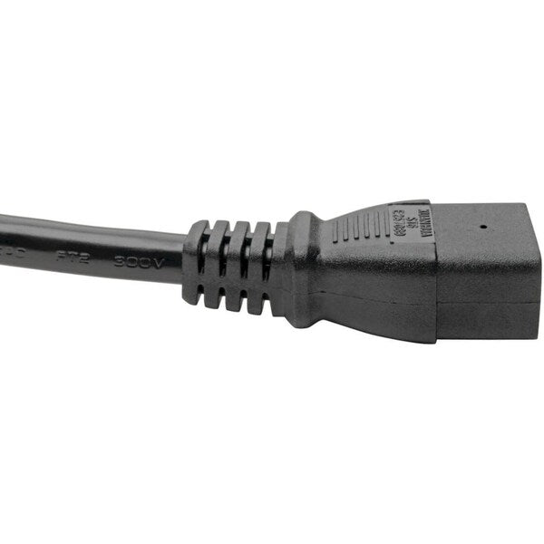 10- 12Pwg Power Cord