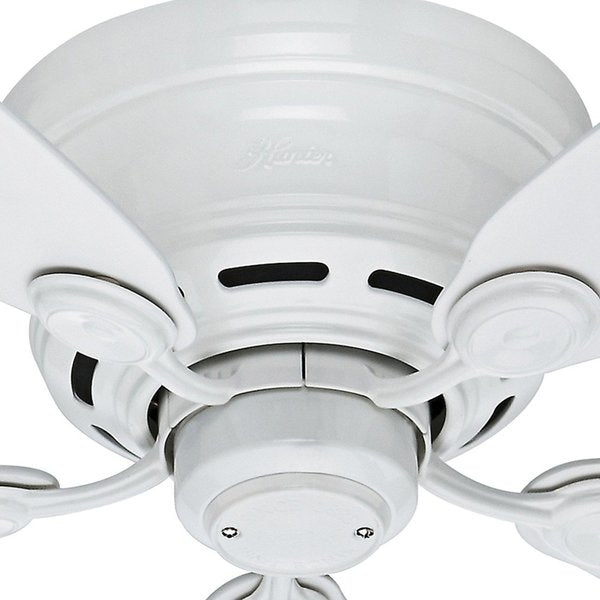 Decorative Ceiling Fan, 42