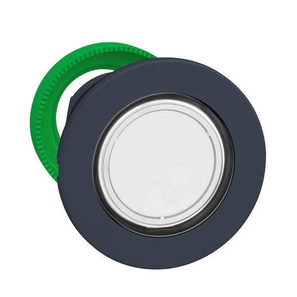 White Pilot Light