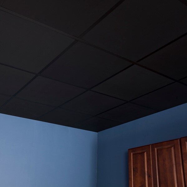 Smooth Pro Ceiling Tile, 24 in W x 24 in L, 12 PK