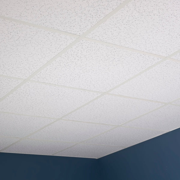 Printed Pro Ceiling Tile, 24 in W x 24 in L, 12 PK