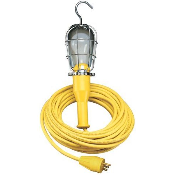 HNDLMP-100W 25FT CRD w/SW