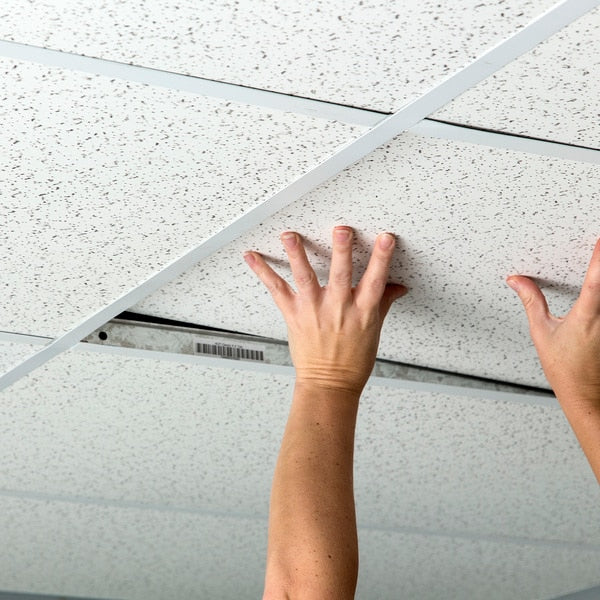 Printed Pro Ceiling Tile, 48 in W x 24 in L, 10 PK