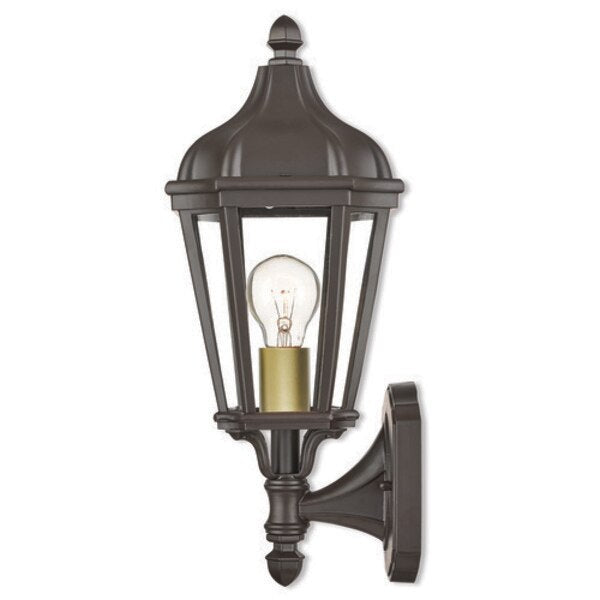 Morgan 1 Light Bronze Outdoor Wall Lantern