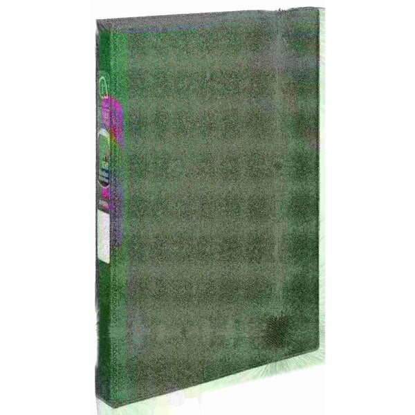 Durable 3 Ring Binder, 1