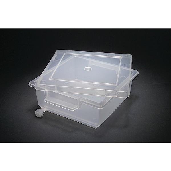 Gel Staining Tray