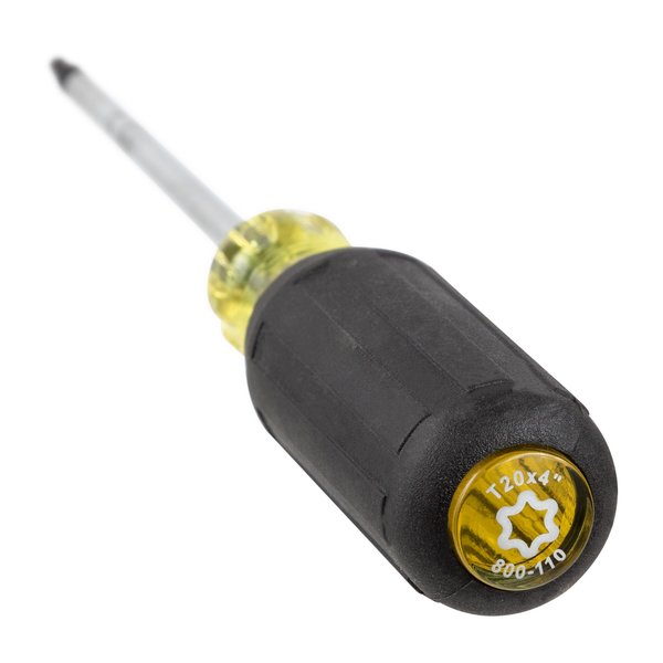 Torx Screwdriver, T20x4
