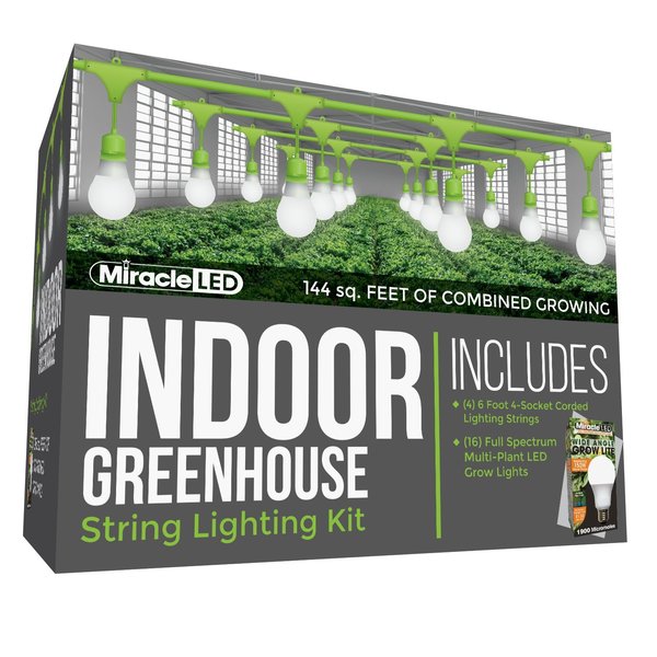 Wide Angle 4-Socket Corded LED Grow, PK4
