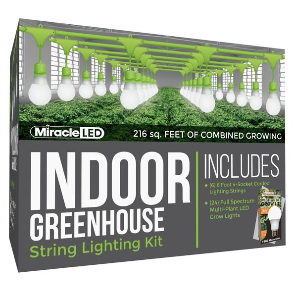 Wide Angle 4-Socket Corded LED Grow, PK6