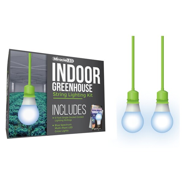 Wide Angle Single-Socket Corded LED, PK2