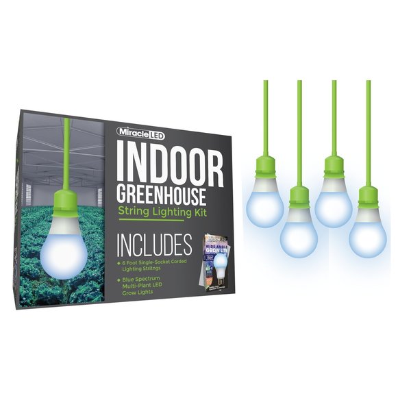 Wide Angle Single-Socket Corded LED, PK4