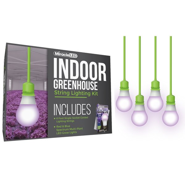 Wide Angle Single-Socket Corded LED, PK4