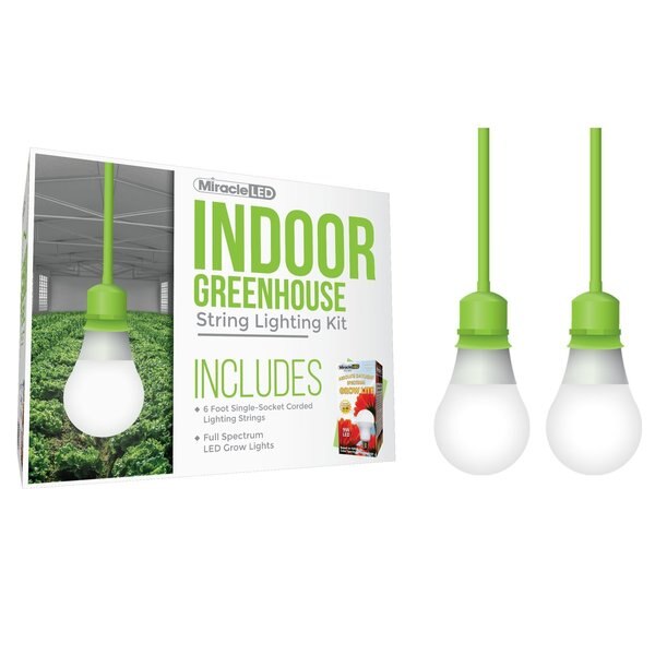 Absolute Daylight Single-Socket Cor, PK2