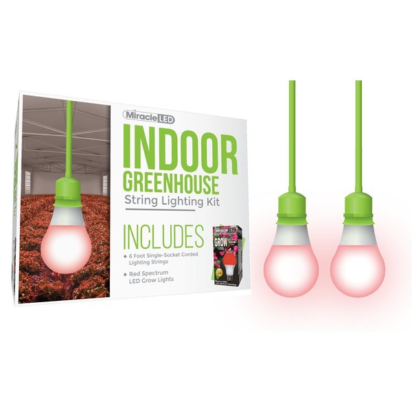 Absolute Daylight Single-Socket Cor, PK2