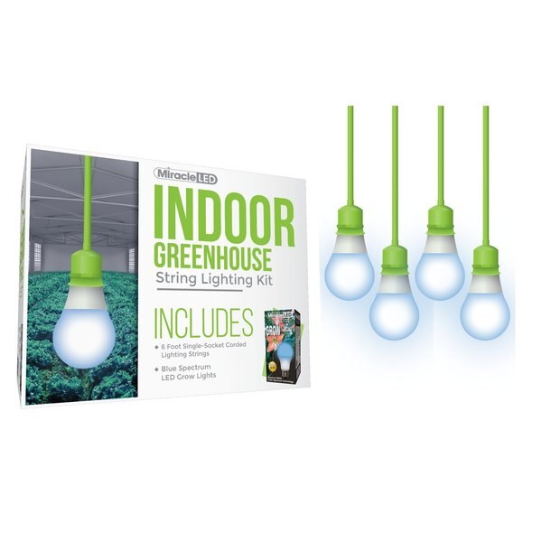 Absolute Daylight Single-Socket Cor, PK4