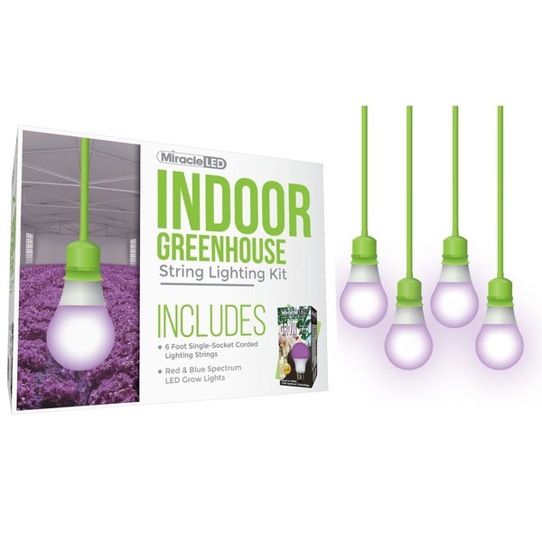 Daylight Single-Socket Corded LED G, PK4
