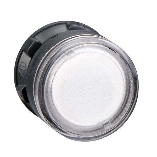 Clear flush illuminated pushbutton head