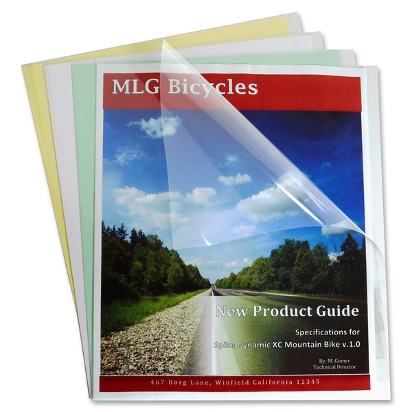 Economy Report Cover, Vinyl, Clear, PK100