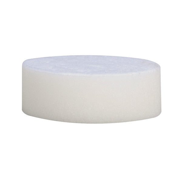 Polishing Pad, Foam, Flat Face, 3