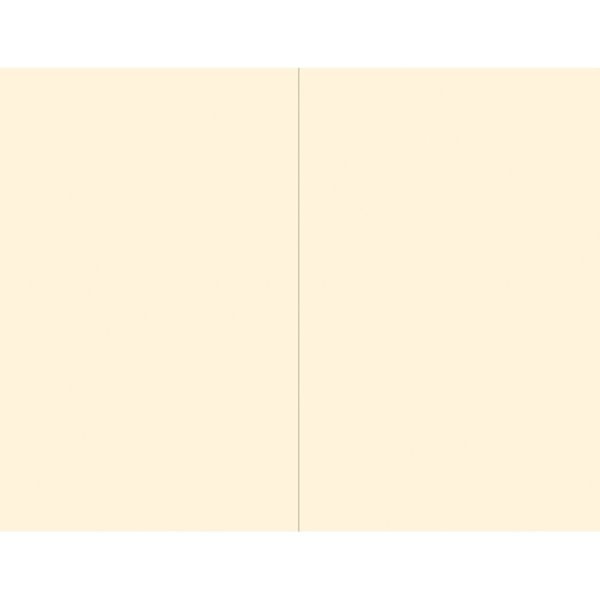 Invitation, Ivory, 8.5